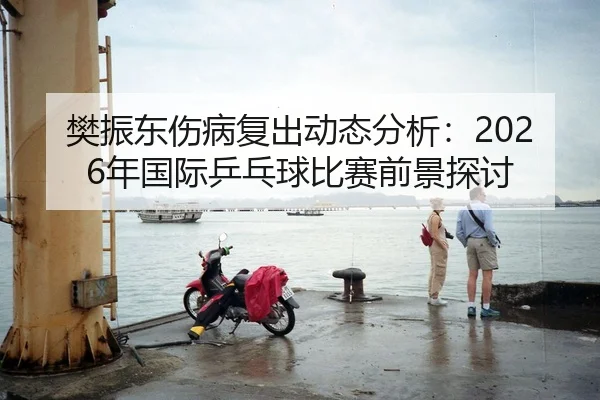 樊振东伤病复出动态分析：2026年国际乒乓球比赛前景探讨