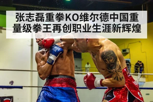 张志磊重拳KO维尔德中国重量级拳王再创职业生涯新辉煌