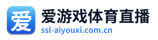 爱游戏体育直播
